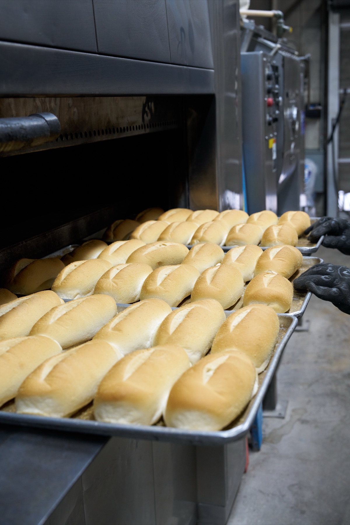 Bread fresh out of the oven